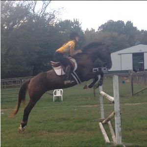 Meet your Posher, Emma